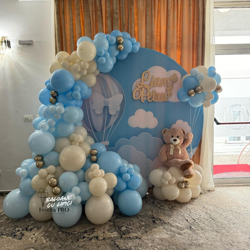 Galerie imagini