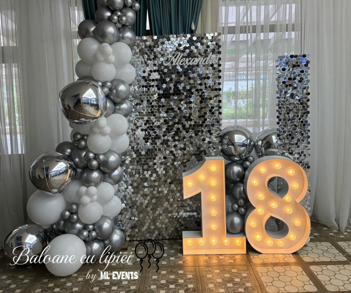 Galerie imagini