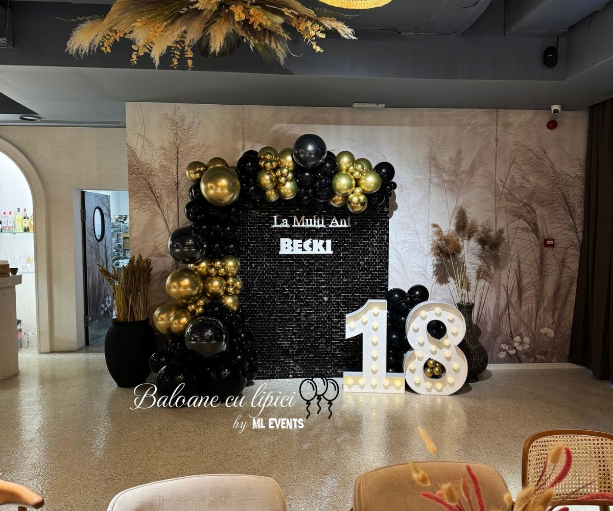 Galerie imagini