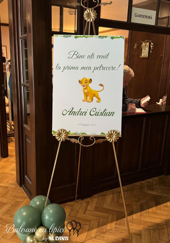 Galerie imagini